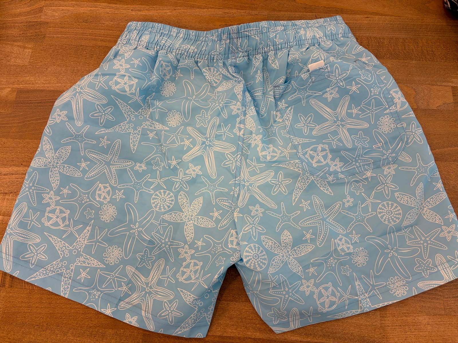 BOXER 008 - CELESTE